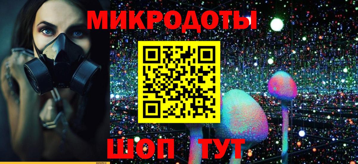 Галлюциногенные грибы мухоморы Кушва