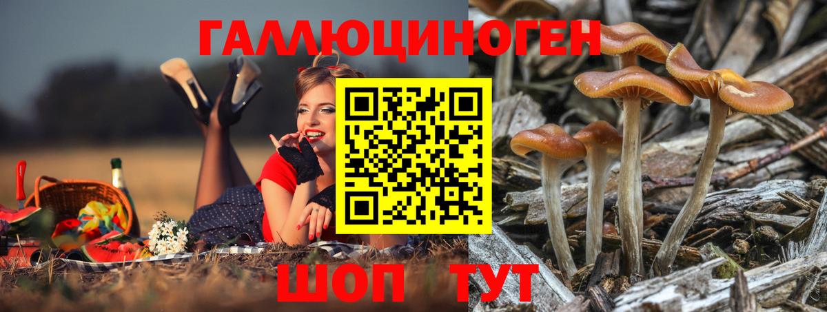 Галлюциногенные грибы Psilocybine cubensis  Вход с VPN  Галлюциногенные грибы ЛСД  Кушва 