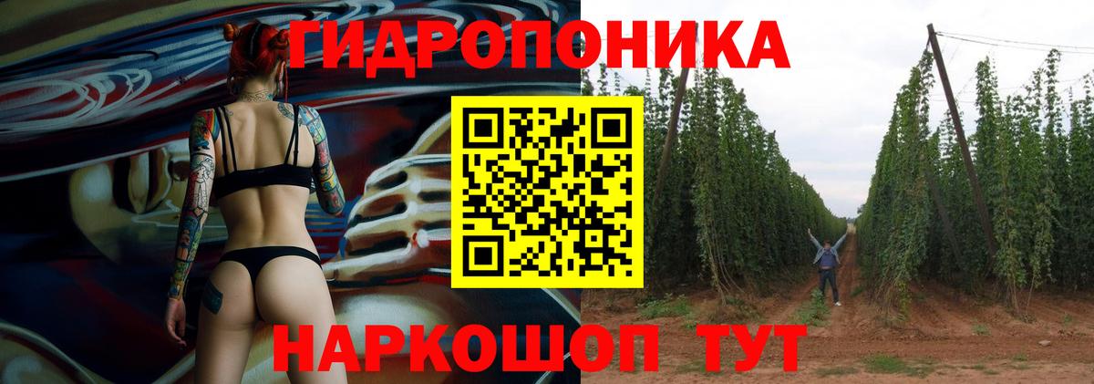 Каннабис гибрид  Бошки Шишки план  Кушва  Вход с VPN  МАРИХУАНА OG Kush 